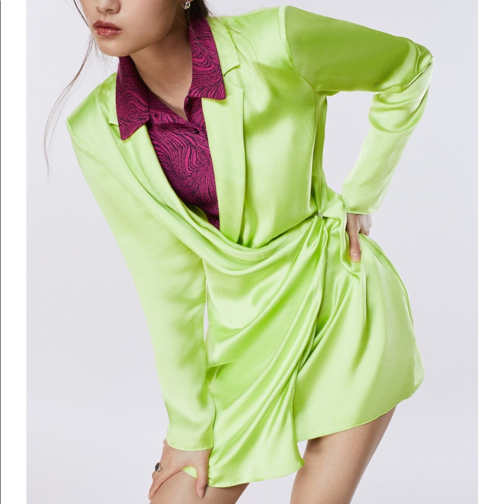Zara Dress